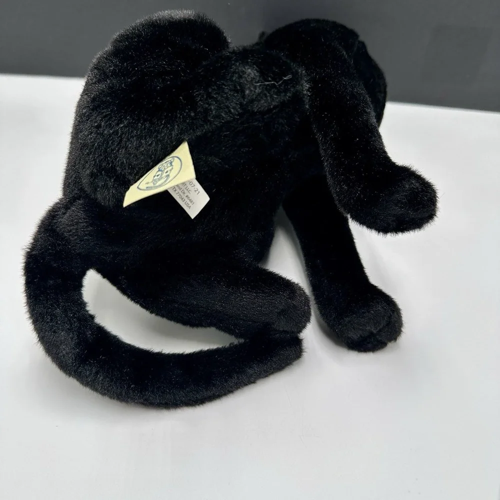 Boone Black Cat 14